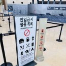 연일금속 | [국중박]국립중앙박물관 꼭 봐야할 작품, 코스추천, 카페 후기