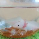 영인유치원 이미지