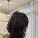 살롱하와이 이미지