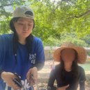 루피오 | 내블로그재미없어병
