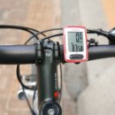 고랑포길 이미지