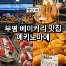 렌즈미 부평지하점 | 부평 지하상가 빵맛집 에키노마에 맘모스빵 소금빵 후기