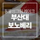뽀야딸기 | 부산대 디저트카페 보노베리 딸기케이크 후기