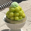 카페카다로그 이미지