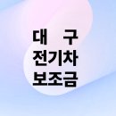 대구전기 | 대구 전기차 보조금으로 아이오닉5 샀습니다! 실사용 후기