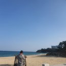 추암오토캠핑장 이미지