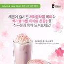 체리블라썸 이미지