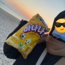 부성가든 | 2025년의 특별한 강원도 이야기:) 1년 동안 강원경상전라충청경기를 여행한 전국여행 정산일기/정동진...