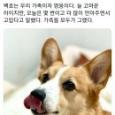 새벽