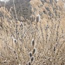 철원밧데리 | 철원 한탄강 물윗길 주상절리길 방문 후기