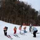 가나안 | 2026 가나안 스키캠프 후기