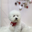 꾸꾸멈머 이미지