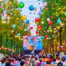 &#34;쓰레기 산이 메타세콰이어 꽃동산으로 대변신&#34;... 단 하루 열리는 37만 본 상사화·꽃무릇 축제 이미지