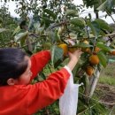 순천왕운초등학교 이미지