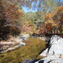 금강송체험야영장 이미지