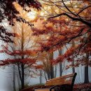 코스모스세탁소 이미지