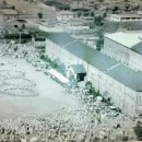 신트리약국 이미지