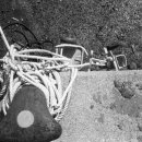 하모리-35 이미지