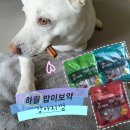 참견펫푸드 | 하림 강아지껌 추천!_[밥이보약 덴탈+건강츄] 체리가 순삭해버리기