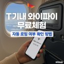 SK T-WORLD 앞 | 추석 해외여행 필수 혜택! SKT T기내 와이파이 무료체험 &amp; 자동 로밍 확인법
