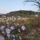 나정펜션 이미지