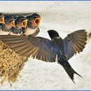 방송국노래연습장 이미지