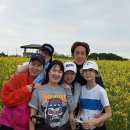 하늘정원 이미지