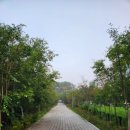 어등산한국아델리움1단지경로당 | 전라도 광주 어등산 등산후기(동자봉초입-산정약수터 삼거리-석봉 원점회귀)