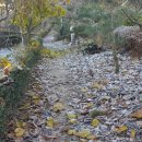 이시돌쉼터 이미지