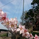 감곡2농장 이미지