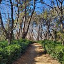 자은임도 이미지