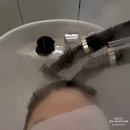 마산미용실 추천 다루다헤어프로젝트 마산신세계점, 염색+클리닉까지 완벽했던 산호동 헤어샵