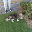 바른병원 맞은편 이미지