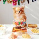 또하나의 가족 이미지