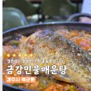 금강 찜 매운탕 | 경주 북군동 맛집 아침 식사가 가능한 금강민물매운탕