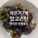 비타민슈퍼마켓 | 세부 슈퍼마켓에서 망고스틴 득템 했다. 그리고 망고스틴 고르는 방법