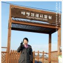 태평태양광발전소 이미지