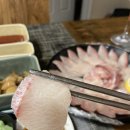 리플러스횟집 | 포항 대방어 포장 양덕동 리플러스 내돈내산 솔직후기