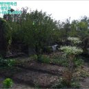 광양읍 세풍초등학교 이미지