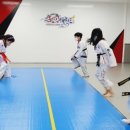 힘찬합기도주짓수태권도 이미지