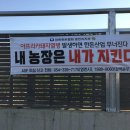 돼지사수
