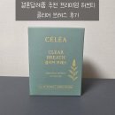 레아 | 결혼답례품 추천 프리미엄 허브티 셀레아 티 클리어 브레스 후기
