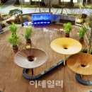 모닝조경개발 이미지