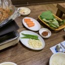 대왕곰장어 이미지