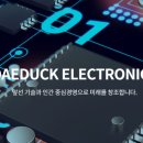 대덕전자 이미지