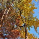 나낭그아트스튜디오 이미지