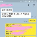 백세동안
