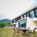 마로니에 이미지