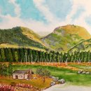 25행정사사무소 이미지