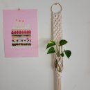 대전광역시립산성종합복지관 이미지